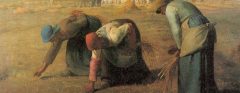 Harvest Gleanings